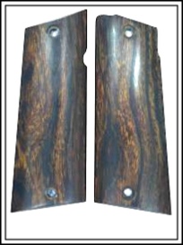 Sonoran Desert Ironwood C1128