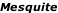 Mesquite